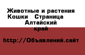 Животные и растения Кошки - Страница 12 . Алтайский край